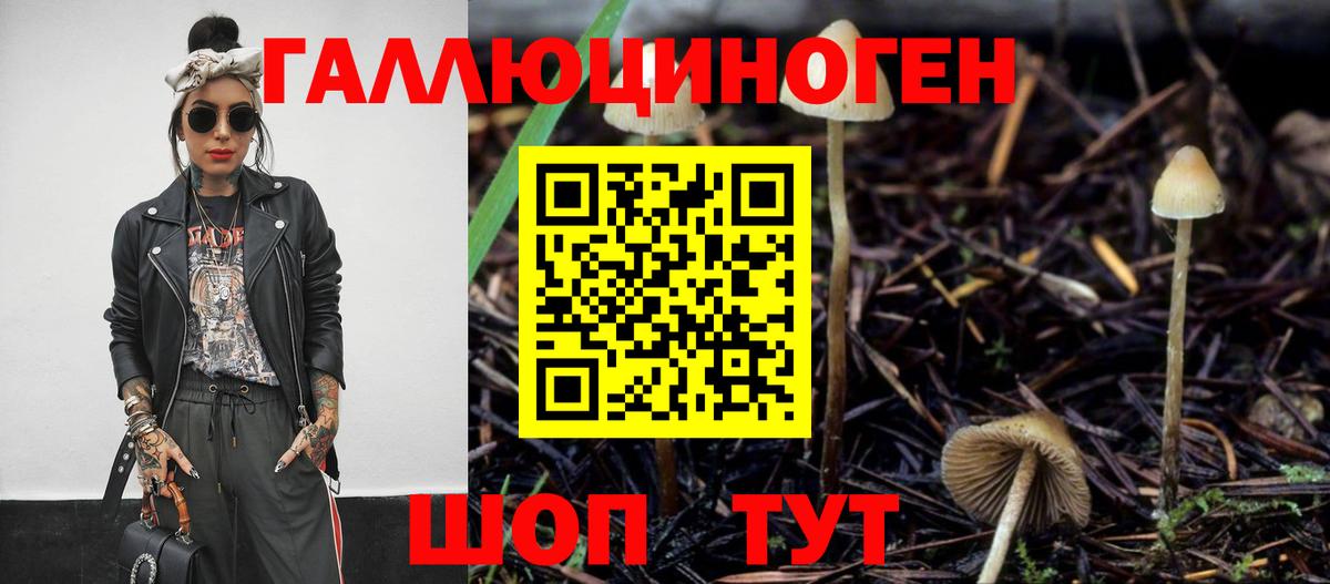 Псилоцибиновые грибы мухоморы Чапаевск