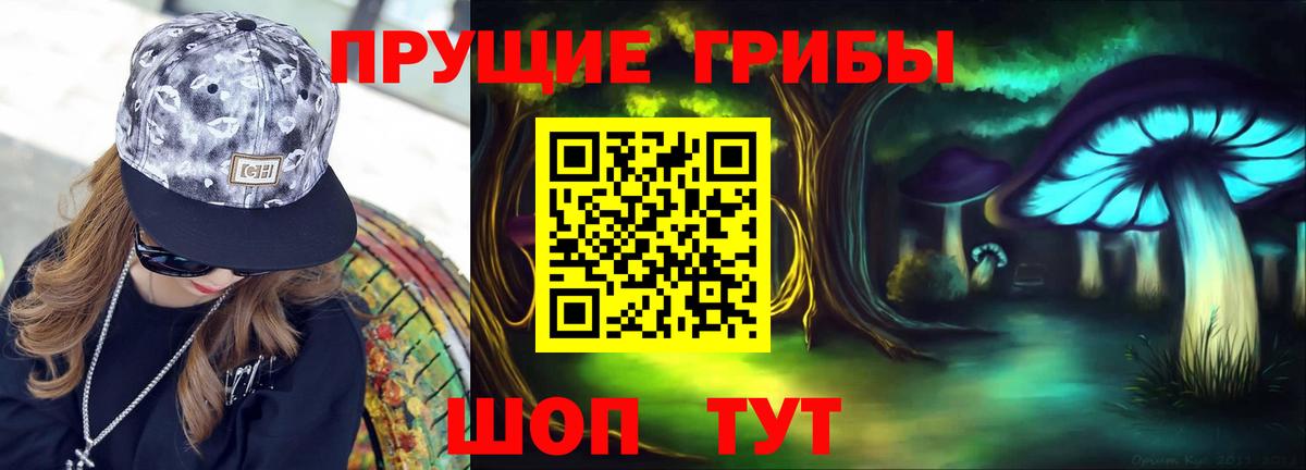 Чапаевск  Галлюциногенные грибы Psilocybe  Вход с VPN 
